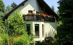 Ferienwohnung Ginkgo
